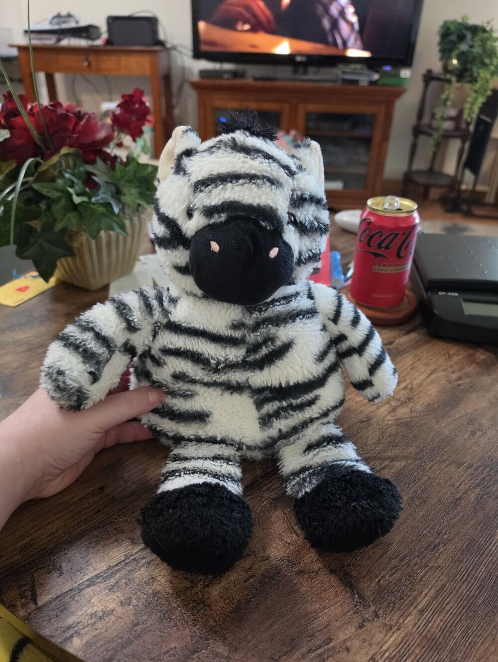 Aroma Home Zebra Plush